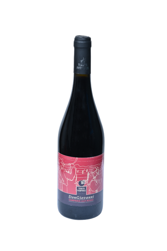 Rosso Campania IGP 2020 Don Giovanni
